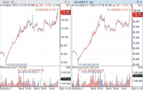 '나란히 신고가' 금융주…KB금융 시총 50조 돌파_송하린