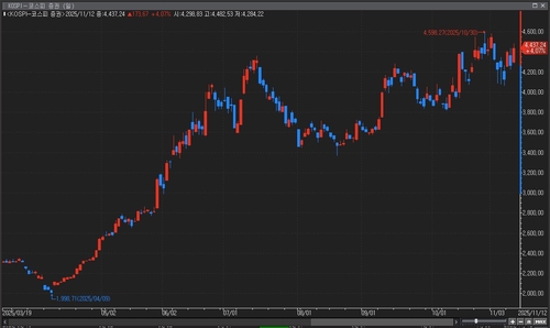 삼성증권·한투 3분기 '깜짝실적'에 증권주 동반 급등_이규선