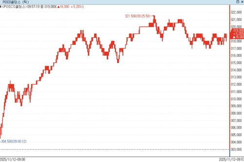12일 포스코홀딩스 주가 추이