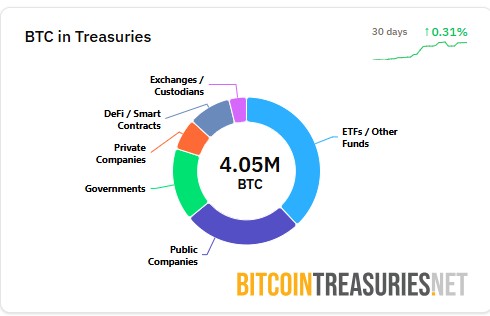 비트코인 재무 기업들 '개점휴업'…10월 매수량 올해 최저치_이장원