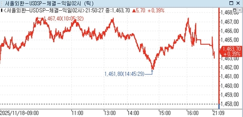 달러-원, 뉴욕장서 1,460원 초반대 거래_윤정원
