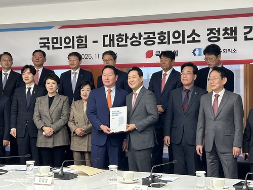 최태원 "대규모 투자 가능하도록 펀드·외부자금 조달 필요"(종합)_정수인