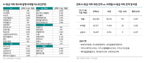 IMA가 하위등급 회사채에 줄 영향은…"공급 증가가 선결과제"_서영태