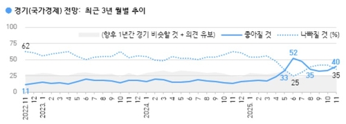 향후 1년간 경기 전망