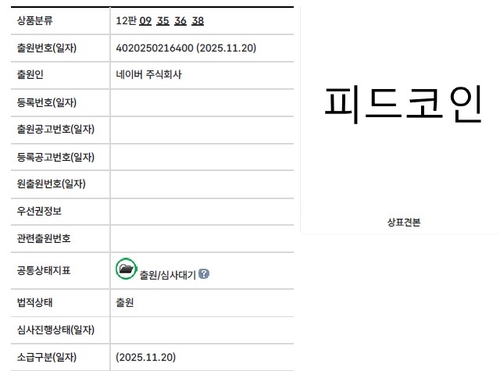 네이버 '피드코인' 상표권 출원…숏폼 보며 리워드 쌓는다_윤영숙
