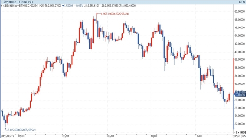 비트마인, 지난주 이더리움 급락장서 7만개 가량 추가 매수_홍경표