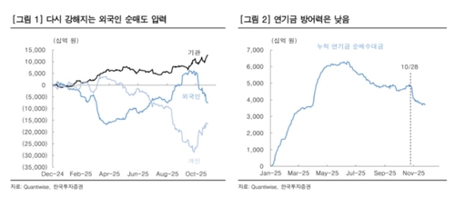 "외국인 매도, 증시 하락 베팅 아냐…투매보단 인내할 때"_이규선