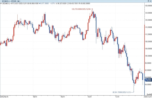 BofA "가상화폐, 포트폴리오의 최대 4% 투자 권고"_홍경표