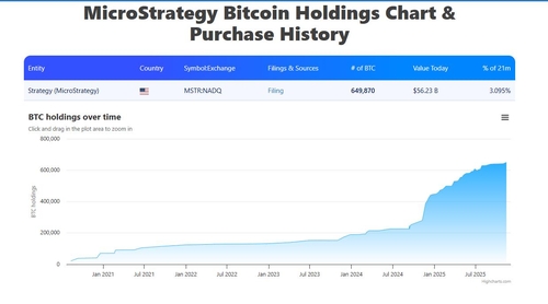 [비트코인 연말 급락②] 유동성 경색에 '스트래티지' 리스크까지_윤시윤