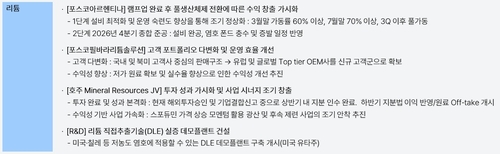 포스코그룹 리튬사업 계획