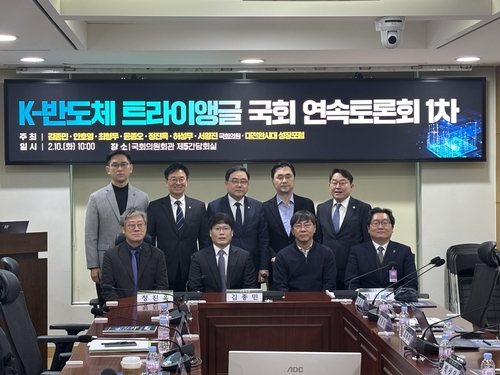 K반도체 트라이앵글 국회 토론회