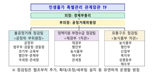 민생물가 특별관리TF 출범…불공정거래·유통구조 집중 점검_박준형