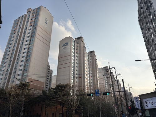 [다주택 매물 초읽기] 주요 지역 가보니…온도차 존재_변명섭