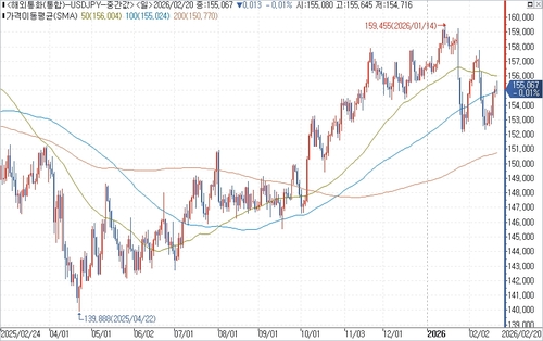 달러-엔 환율 일간 차트.