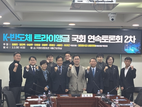 "용인반도체 산단 송전탑 1만개 건설 필요…사회적 수용성 검토해야"_윤영숙
