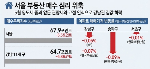 깜깜이 돌입한 서울 부동산…강남 하락에도 여전히 '비싸다'_변명섭