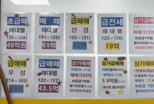 [부동산 현장탐방] 강남 3구 전세 매물 없다는데…현장에는 "손님이 없다"_한이임