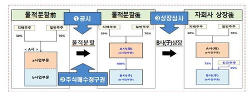 '실질적 지배'까지 중복상장 기준 확대…HD·SK·LS 계열사 자금 조달 '비상'_박경은