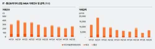 주춤했던 'IT·통신업계' M&A 시장…AI 전환 수요에 기지개_최정우