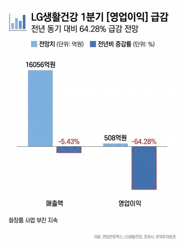 어두운 터널 지나는 LG생활건강…"1분기는 눈 감아 주세요"_김용갑