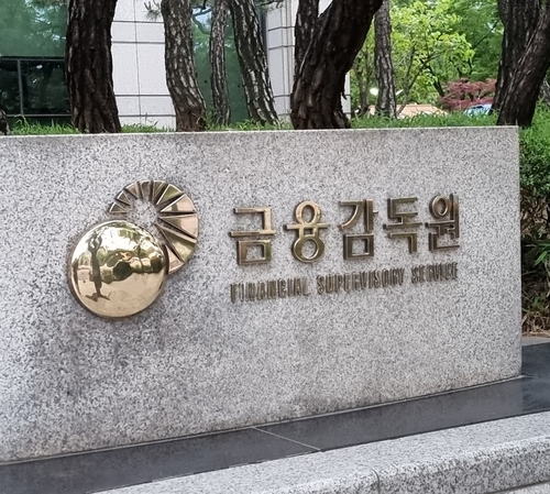 금감원, ETF LP 재대차 관행 칼 겨눈다…현장검사 착수_신민경