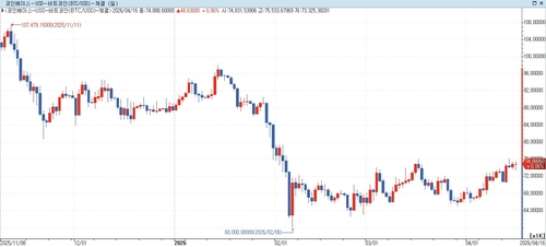 씨티 "비트코인 더한 포트폴리오, 재정 불안 상황에서 효율적"_홍경표