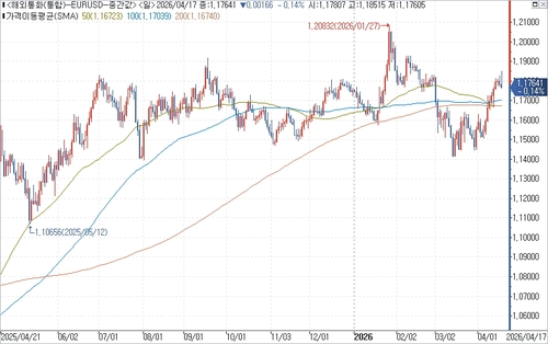 유로-달러 환율 일간 차트.
