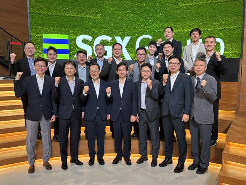 한국 자산운용업계 NPK