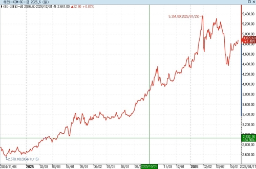 올해도 '금', 6천달러까지 오른다_이종혁