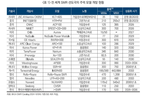 전세계 SMR 선도국 주력 모델 개발 현황