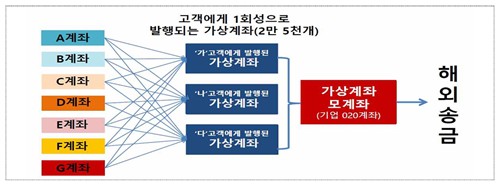 정부, 가상자산 환치기 등 불법 외환거래 6천억원 이상 적발_최욱