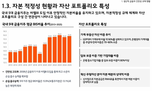 금감원 "바젤 준수 안에서 자본규제 합리화…미준수 시 신인도 직격"_박경은