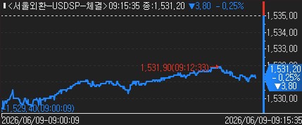 [외환] 중동 우려 완화·당국 경계감에 하락…3.80원↓_신윤우