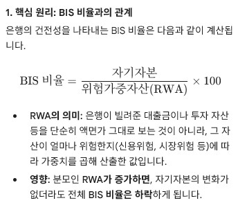 BIS 비율 설명