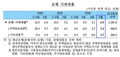 주식 '빚투'에 5월 가계대출 6.9조 급증…기타 대출 3.7조↑_노현우
