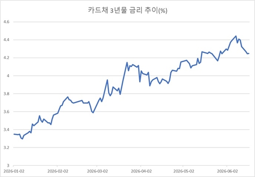 채권 약세발 할부금융 역습…하반기 자동차 내수 우려_이재헌
