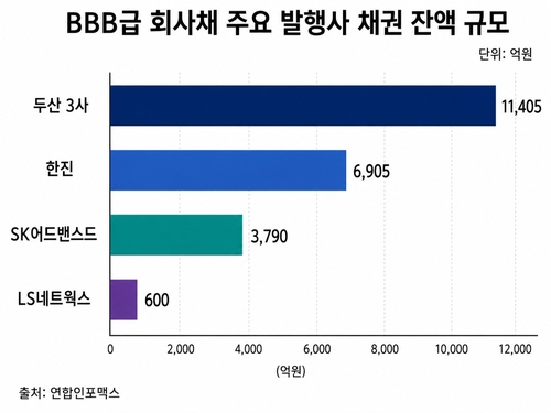 고위험 회사채 혼란 속…'뒷배' 있는 한진·두산 등 선별 주목_윤은별