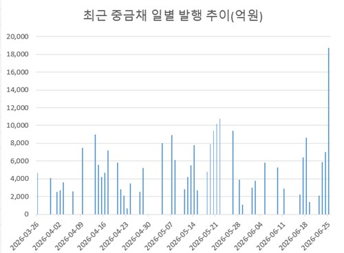 중금채 조단위 발행 왜…"LCR 규제 이슈…차차 안정될 것"_김정현