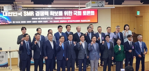 SMR 전문가들 "2035년 전기 생산 빠듯…국가 지원 늘려야"_주동일