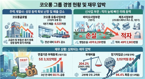 코오롱그룹 경영 현황 및 재무 압박