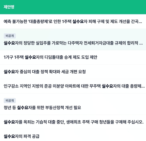 실수요자 대상 정책 제안