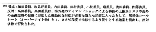 다카타 하지메 위원의 반대 의견
