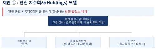 김주영 의원이 제안한 한전 홀딩스 모델
