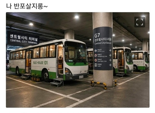 SNS 캡쳐