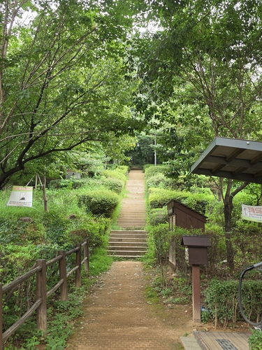 강서구 염창공원 입구