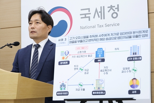이성글 국세청 조사국장, 법인 보유 고가주택 사적 사용 브리핑