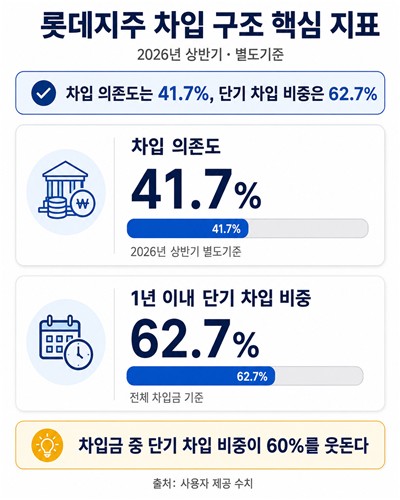 롯데지주 차입구조
