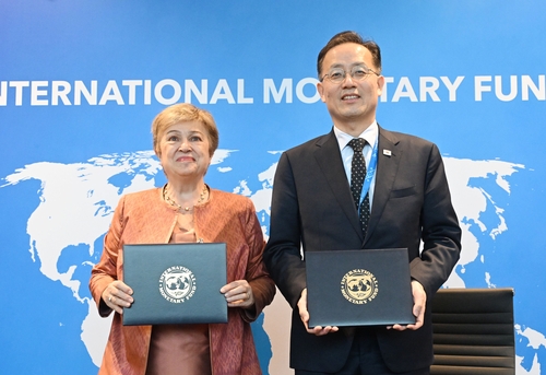 이형일, IMF 총재 면담