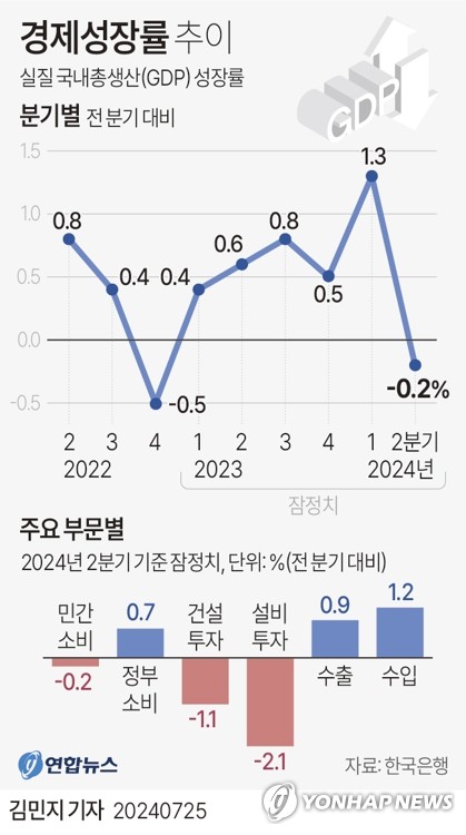 안도걸 의원 "2분기 GDP 역성장 쇼크…낙수효과 안 나타나"_손지현