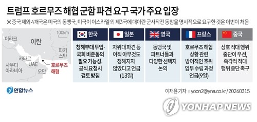靑, 트럼프 군함 파견 요청에 "美와 긴밀 소통·신중히 검토해 판단할 것"_정지서